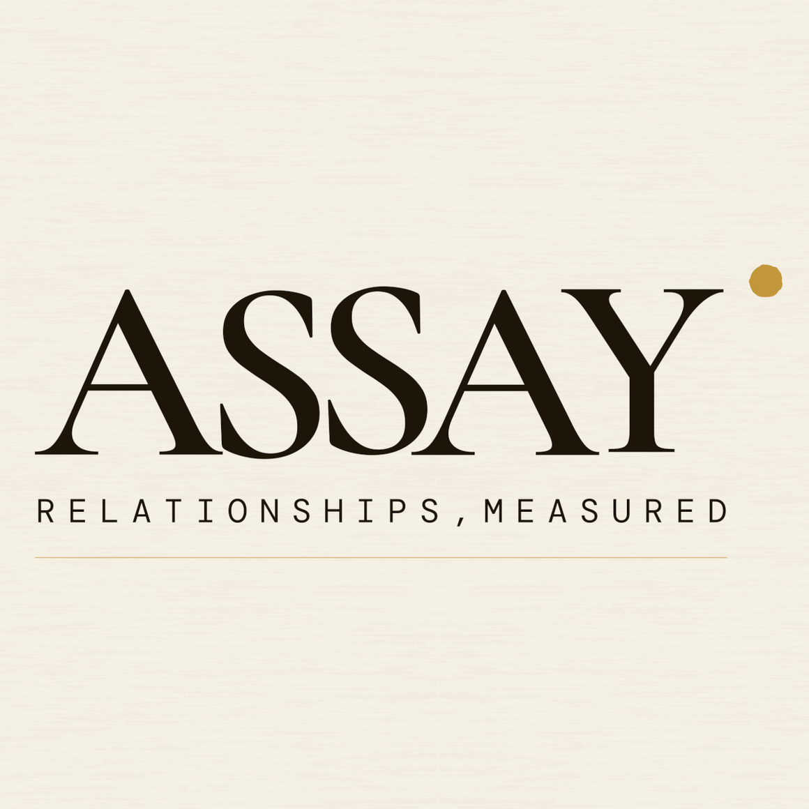 Assay logo