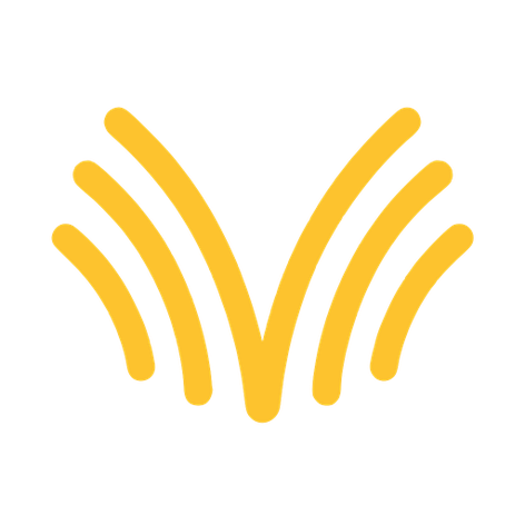 Voibe logo