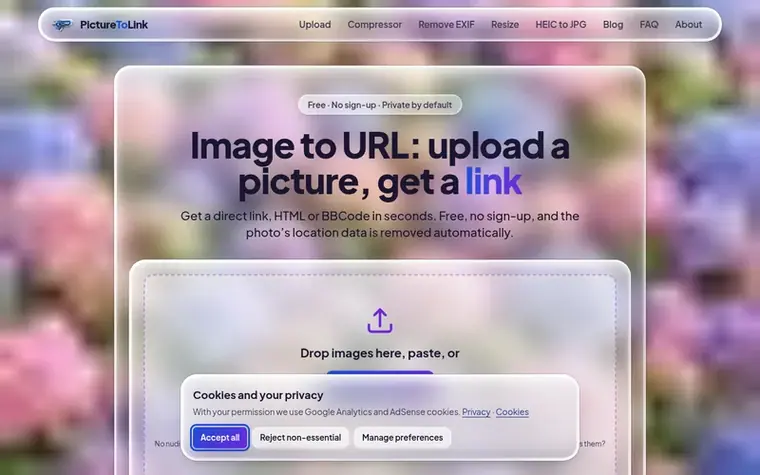 Screenshot of the PictureToLink homepage