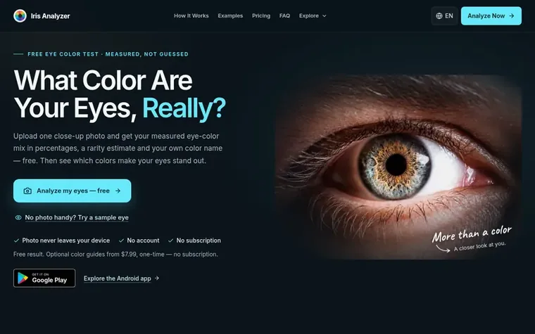 Screenshot of the Iris Analyzer homepage