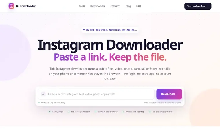 Screenshot of the Instagram Downloader homepage